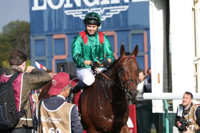 Daryz siegt unter Mickael Barzalona im Qatar Prix de l'Arc de Triomphe Daryz siegt unter Mickael Barzalona im Qatar Prix de l'Arc de Triomphe