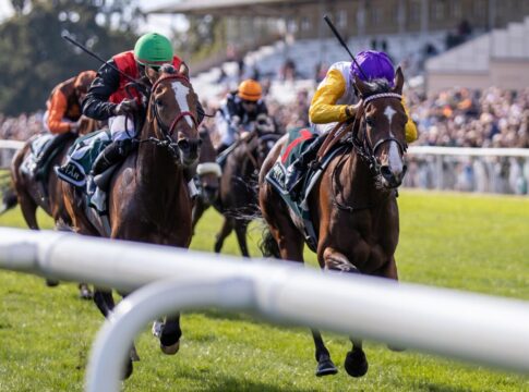 Delgardo nach Hoppegarten jetzt die Nummer zwei der Dreijährigen Santagada siegt unter Adrie de Vries im 35. WETTSTAR.de – Preis der Deutschen Einheit Gr.3