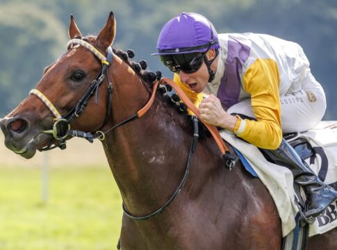 Eingesprungen und Auktionsrennen gewonnen: Liska mit Dragon Magic Dragon Magic siegt unter David Liska im Sparkasse-BBAG Auktionsrennen