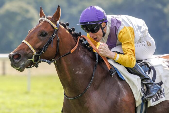 Dragon Magic siegt unter David Liska im Sparkasse-BBAG Auktionsrennen