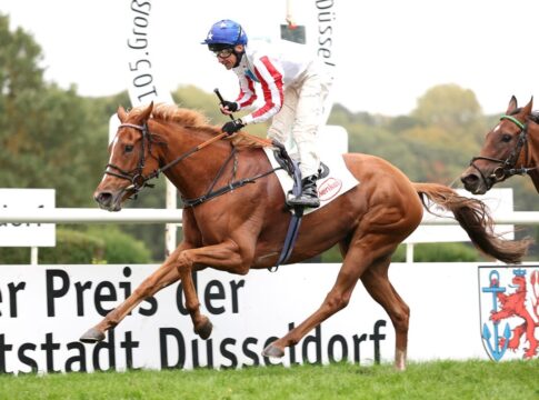 Niederländer in den Düsseldorfer Ausgleich III-Rennen vorne Franky's Dream siegt unter Adrie de Vries