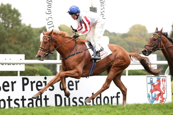 Franky's Dream siegt unter Adrie de Vries Franky's Dream siegt unter Adrie de Vries