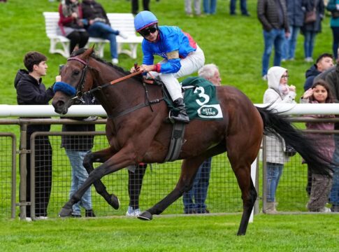 Glady Tiger auf seiner Bahn – Ausgleich I Sieg auf der Neuen Bult Glady Tiger siegt unter Thore Hammer-Hansen