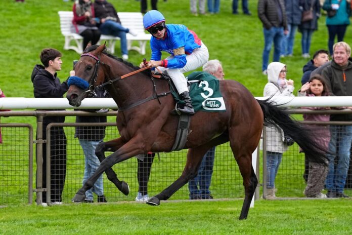 Glady Tiger siegt unter Thore Hammer-Hansen