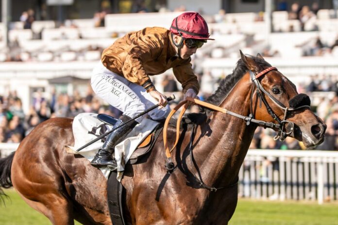 Love Me Tender siegt unter Esentur Turganaaly Uulu