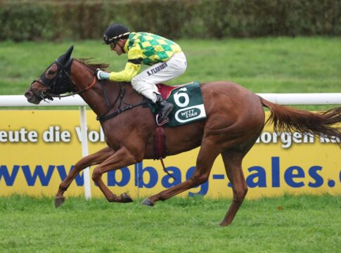 Nach Stallwechsel erfolgreich: Scaletta siegt beim ersten Start für Geisler Scaletta siegt unter Bertrand Flandrin