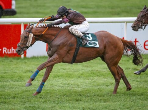 Grußbotschaft an Robin Weber – Nairo siegt mit Baltromei in Mülheim Nairo siegt unter Nina Baltromei