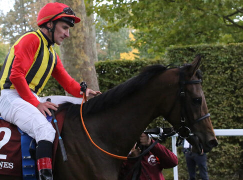 Nicoreni in Paris Foto: Hemke