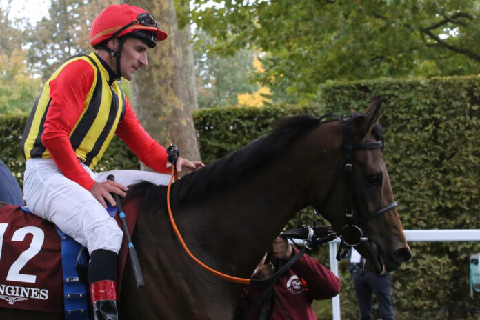 Nicoreni in Paris Foto: Hemke Nicoreni in Paris Foto: Hemke