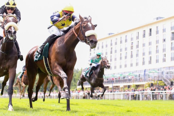 Nyra siegt unter Thore Hammer-Hansen Nyra siegt unter Thore Hammer-Hansen