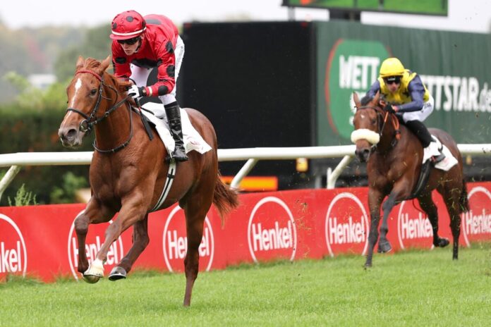 Peace Of Japan siegt unter Sean Byrne Peace Of Japan siegt unter Sean Byrne