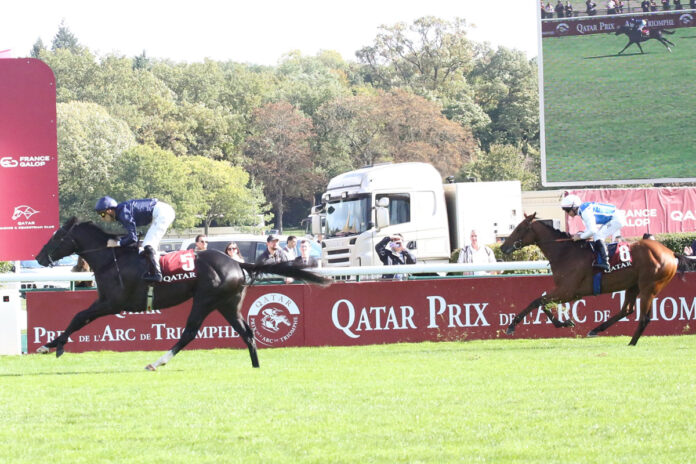 Puerto Rico ist unter Christophe Soumillon souverän voraus Foto: Hemke Puerto Rico ist unter Christophe Soumillon souverän voraus Foto: Hemke