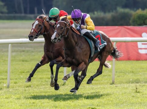 Santagada siegt unter Adrie de Vries im 35. WETTSTAR.de – Preis der Deutschen Einheit Gr.3