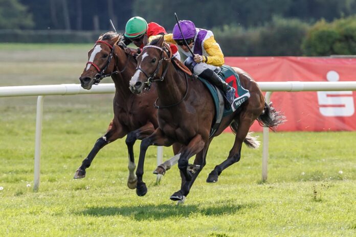 Santagada siegt unter Adrie de Vries im 35. WETTSTAR.de - Preis der Deutschen Einheit Gr.3