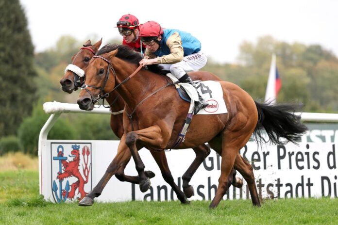 Shartash siegt unter Luke Morris im Großer Sparkassen Familien-Cup