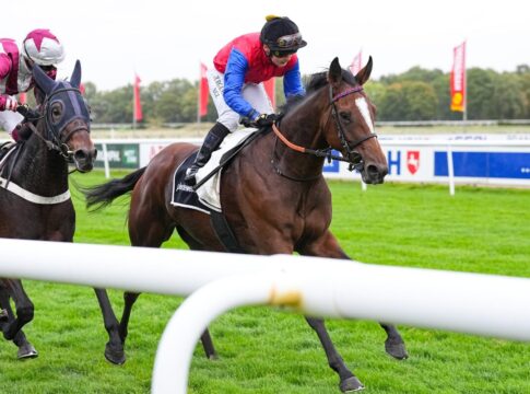 News-Ticker aus Hannover: Sorceress - Adio - El Faras - King of the Night Sorceress siegt unter Esentur Turganaaly Uulu