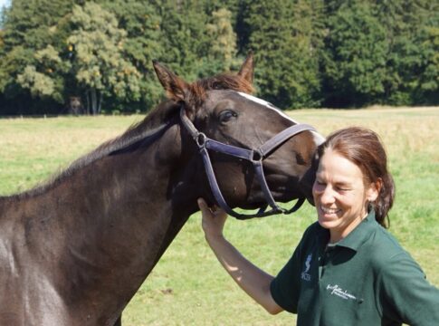 Erfolgreicher Tag der Gestüte 2025 – 13 Vollblutgestüte waren dabei Tag der Gestüte Jettenhausen