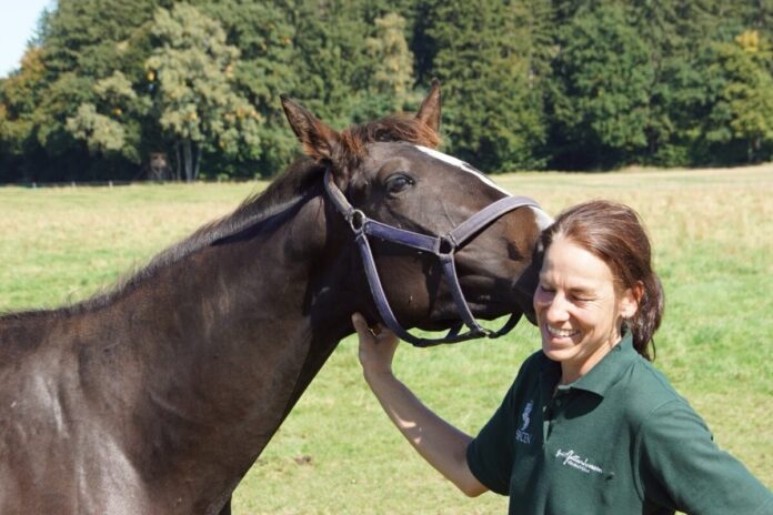 Tag der Gestüte Jettenhausen