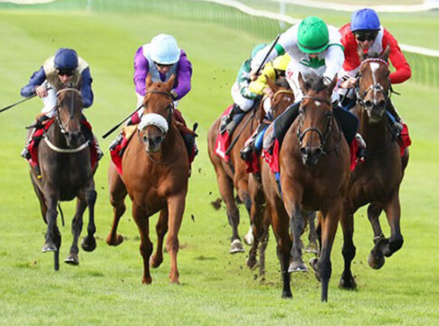 Deutschgezogene Gruppe I-Siegerin Tamfana im Dezember bei Tattersalls Tamfana (2.v.re.) Foto: Pressemittelung Tattersalls