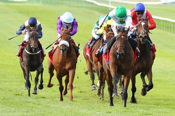 Tamfana (2.v.re.) Foto: Pressemittelung Tattersalls Tamfana (2.v.re.) Foto: Pressemittelung Tattersalls