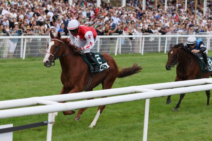 Sommersby siegt unter Eduardo Pedroza Sommersby siegt unter Eduardo Pedroza