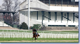 German Jockey School: Die Schmiede für die kleinen Starkes