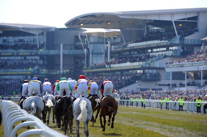 Die Kulisse in Aintree