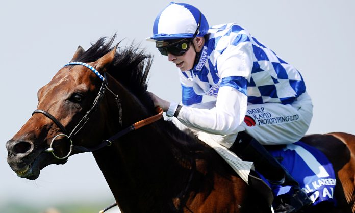 al-kazeem-014
