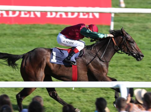 Amorella-Erstling siegt über Sprünge in Cartmel amorella_1