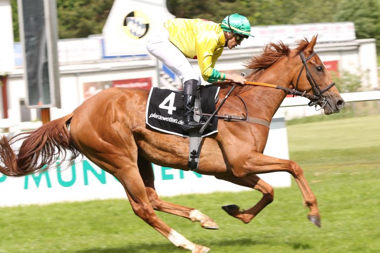 Delozier macht es der Lebensgefährtin nach – Aoraki für Stall Apfelkorn