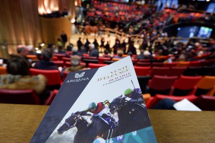 arqana2