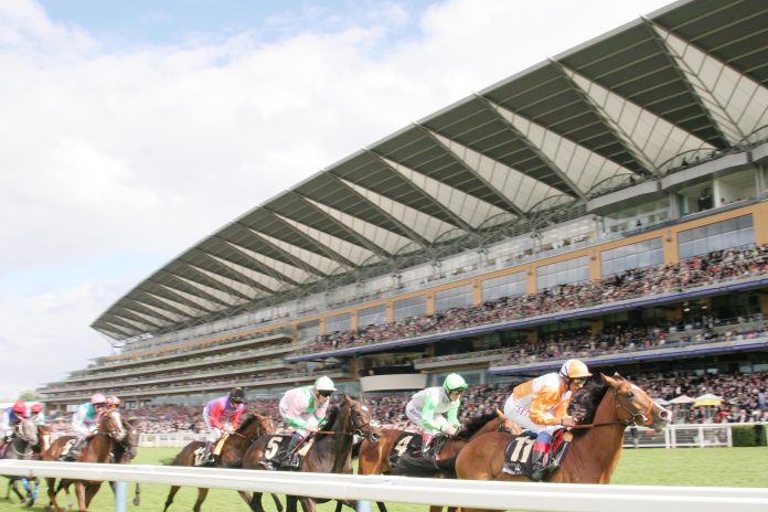 ascot