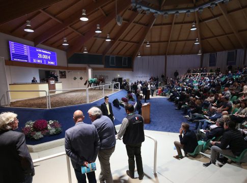 Katalog für die BBAG Frühjahrs-Auktion jetzt online Katalog für die BBAG Frühjahrs-Auktion jetzt online