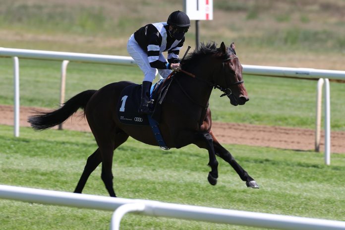 Brian Boru