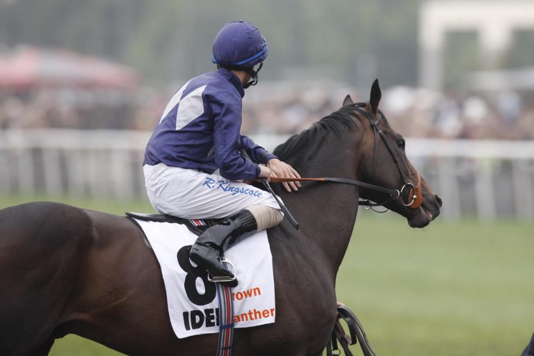Brown Panther: Dascombe denkt über Breeders‘ Cup nach