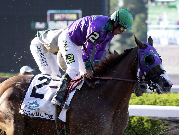 california_chrome