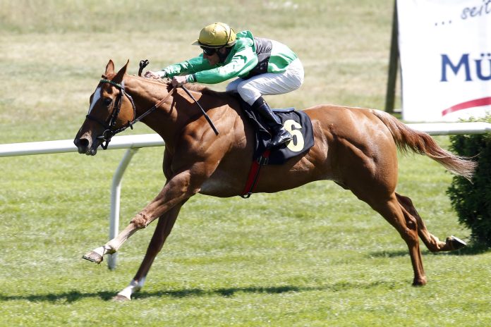 chantilly