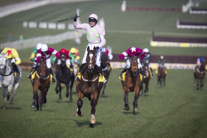cheltenham2
