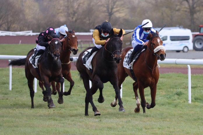 Chilly Filly siegt vor Saxone Chilly Filly siegt vor Saxone
