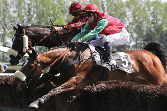 christmas_hurdle