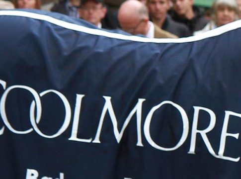 Coolmore: Aufstrebender Deckhengst Calyx lebt nicht mehr