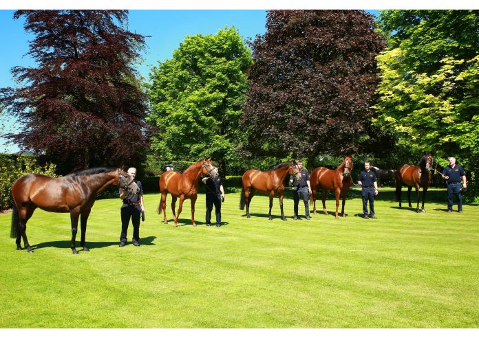 coolmore_derbysieger