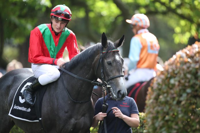 Dalika (Archiv) Dalika (Archiv)