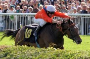 Kyprios-Nachfolger? O’Brien erwartet Verbesserung von Danedream-Bruder Illinois danedream_hoppegarten_2_2
