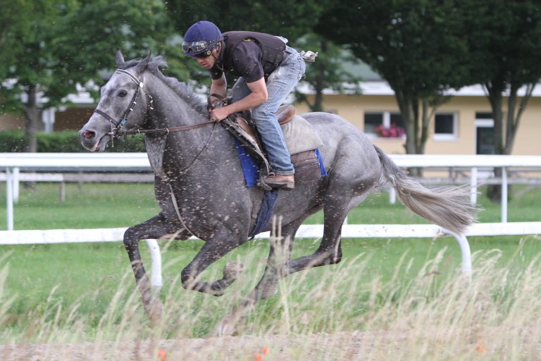 En garde! „Dartagnan“ siegt im Prix de Boulogne