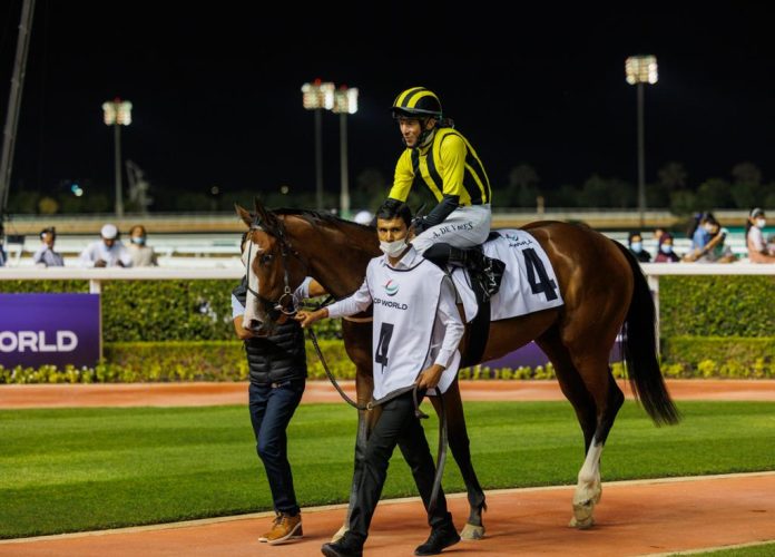 De Vries auf Shahama Foto: dubairacingclub.com De Vries auf Shahama Foto: dubairacingclub.com