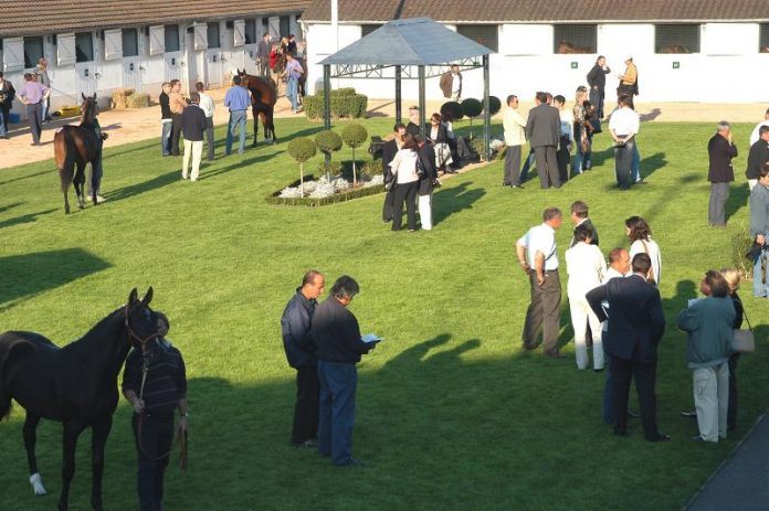deauville_arqana