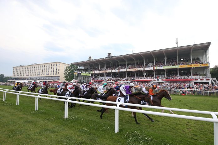 derby