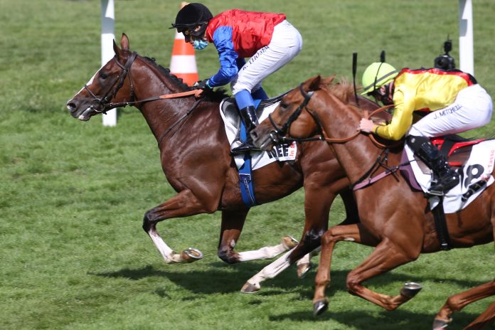 derby_zweiter