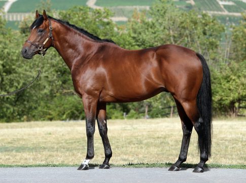 Destino: Ein Tag, zwei Siege jetzt Treffer in Deutschland, England, Frankreich destino_2